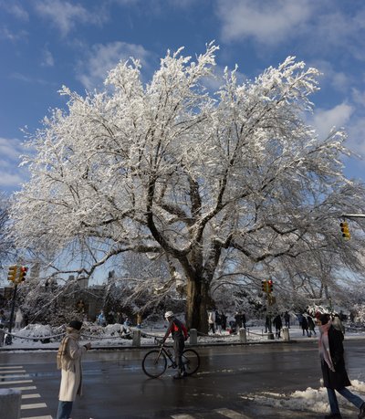 Snowy day in NYC